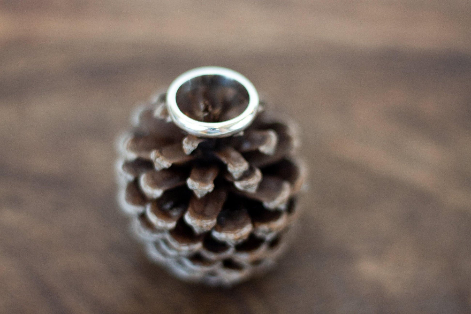 Sterling Silver Band Ring - Ellis Cole Jewelry Designs