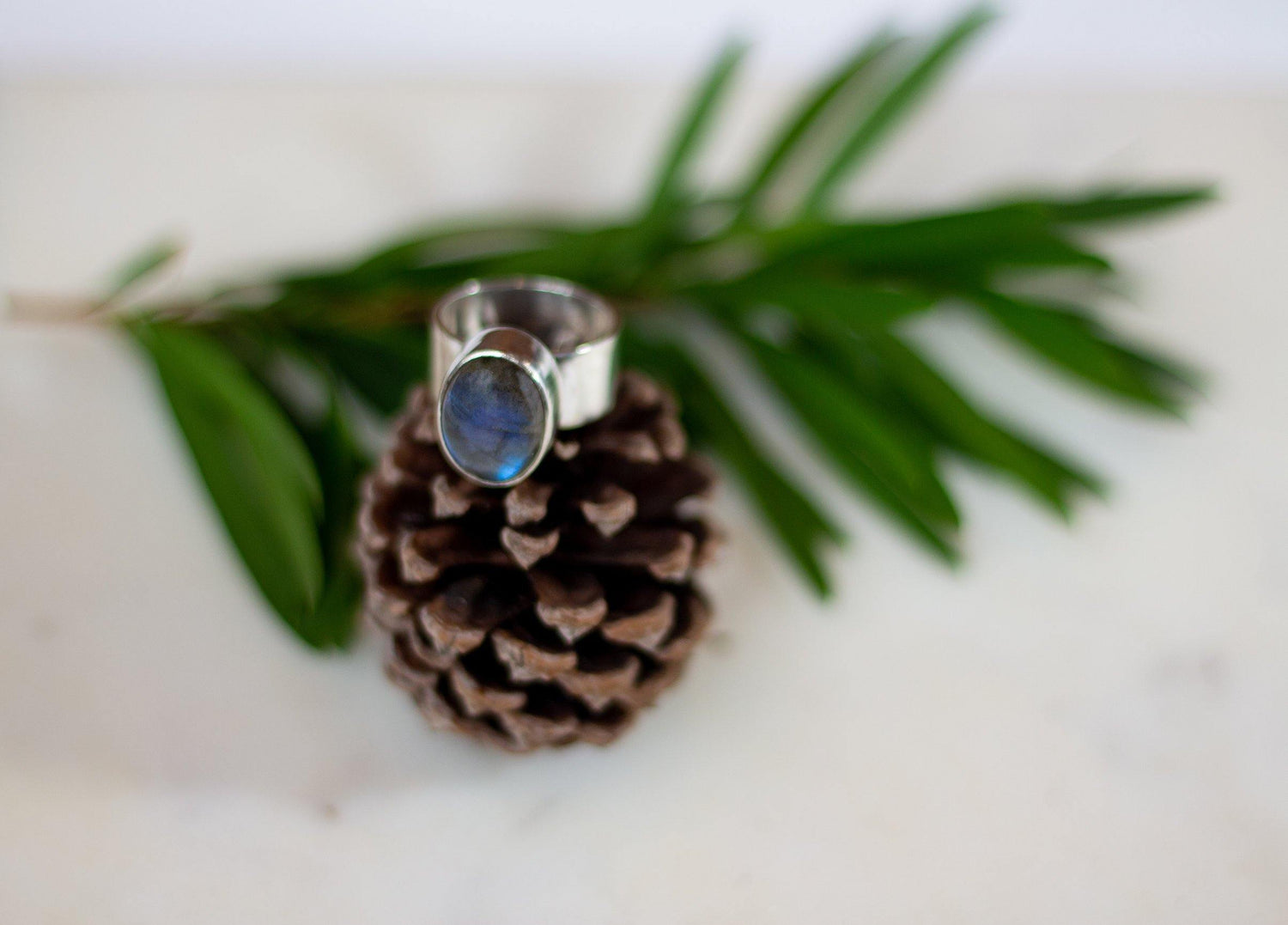 Rings - Ellis Cole Jewelry Designs